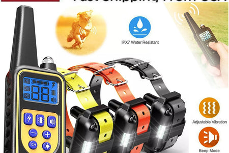 3000 FT Dog Training US Collar Rechargeable Remote Shock PET Waterproof Trainer