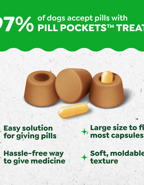 Load image into Gallery viewer, Pill Pockets for Dogs Chicken Flavor Large, Capsule Size Soft Dog Treats, 7.9 Oz, (30 Pk)
