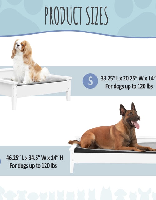 Load image into Gallery viewer, Winston Small Elevated Wooden Pet Bed with Plush Mattress, White
