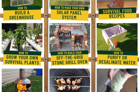 NO GRID Survival Projects