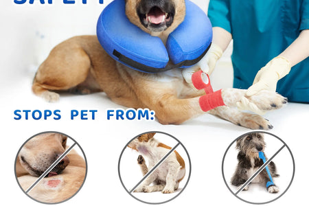 Inflatable Dog Cone (Medium), after Surgery Anti-Bite Lick Wound Soft & Comfortable Protective Collar for Cats & Dogs by