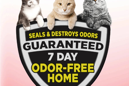 Clump & Seal Cat Litter Multi-Cat Complete Odor Sealing Clay Clumping Cat Litter, 28 Lb