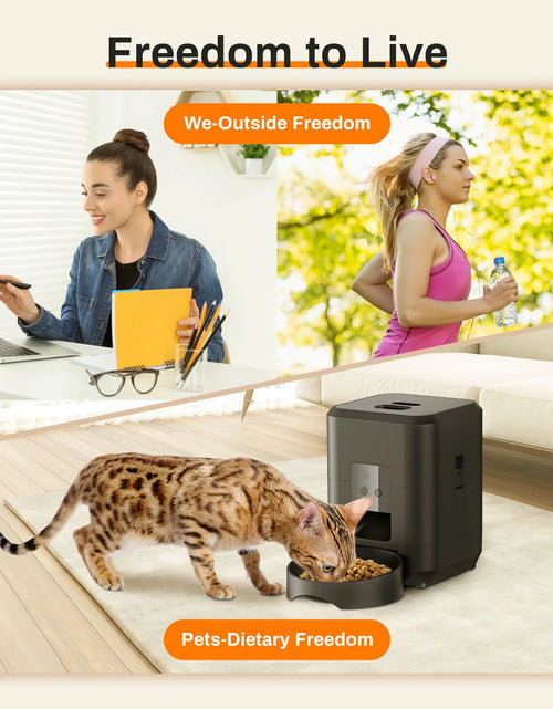 Load image into Gallery viewer, Pet Intelligent Timing Quantitative Remote Automatic Pet Feeder
