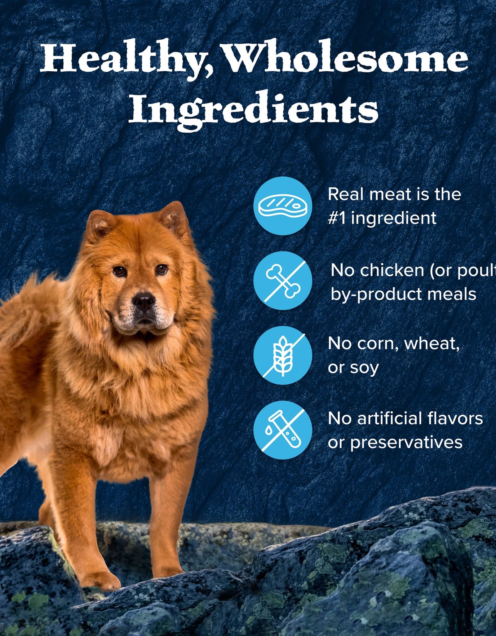 (4 Pack)  Wilderness Wild Cuts Wet Dog Food Toppers, Chicken & Beef, 3-Oz. (12 Count)