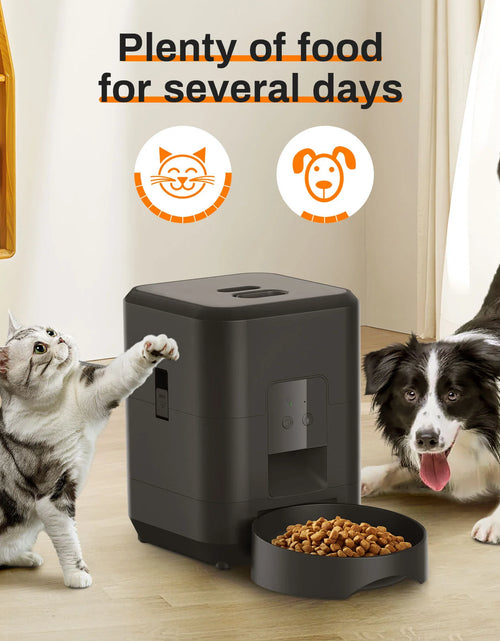 Load image into Gallery viewer, Pet Intelligent Timing Quantitative Remote Automatic Pet Feeder
